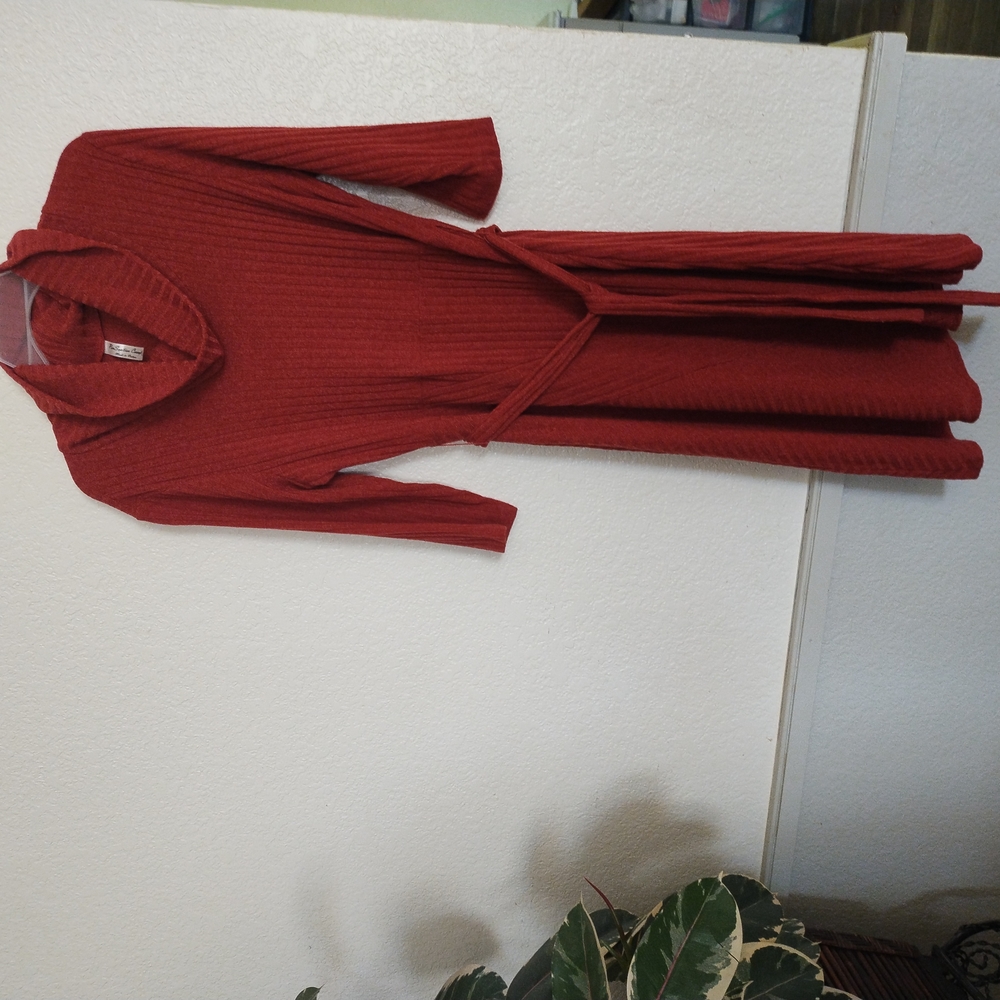 Red Ribbed Knit Dress - Picture 3 of 6